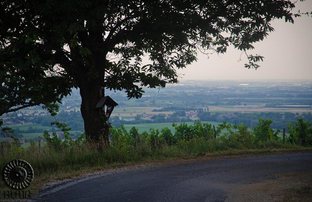 Le Badie Wine Resort Rosazzo 外观 照片