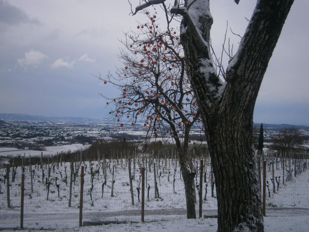 Le Badie Wine Resort Rosazzo 外观 照片